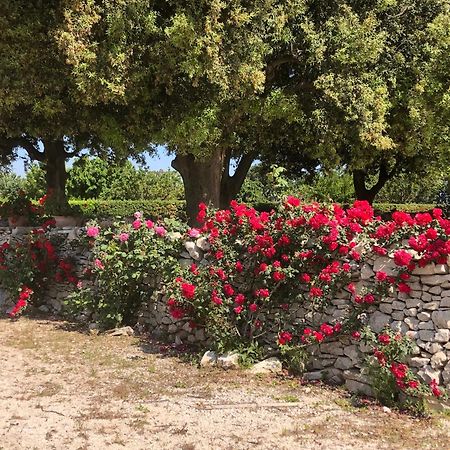 Ai Pilieri di Bagnoli Castel Del Monte (Apulia) Exterior foto