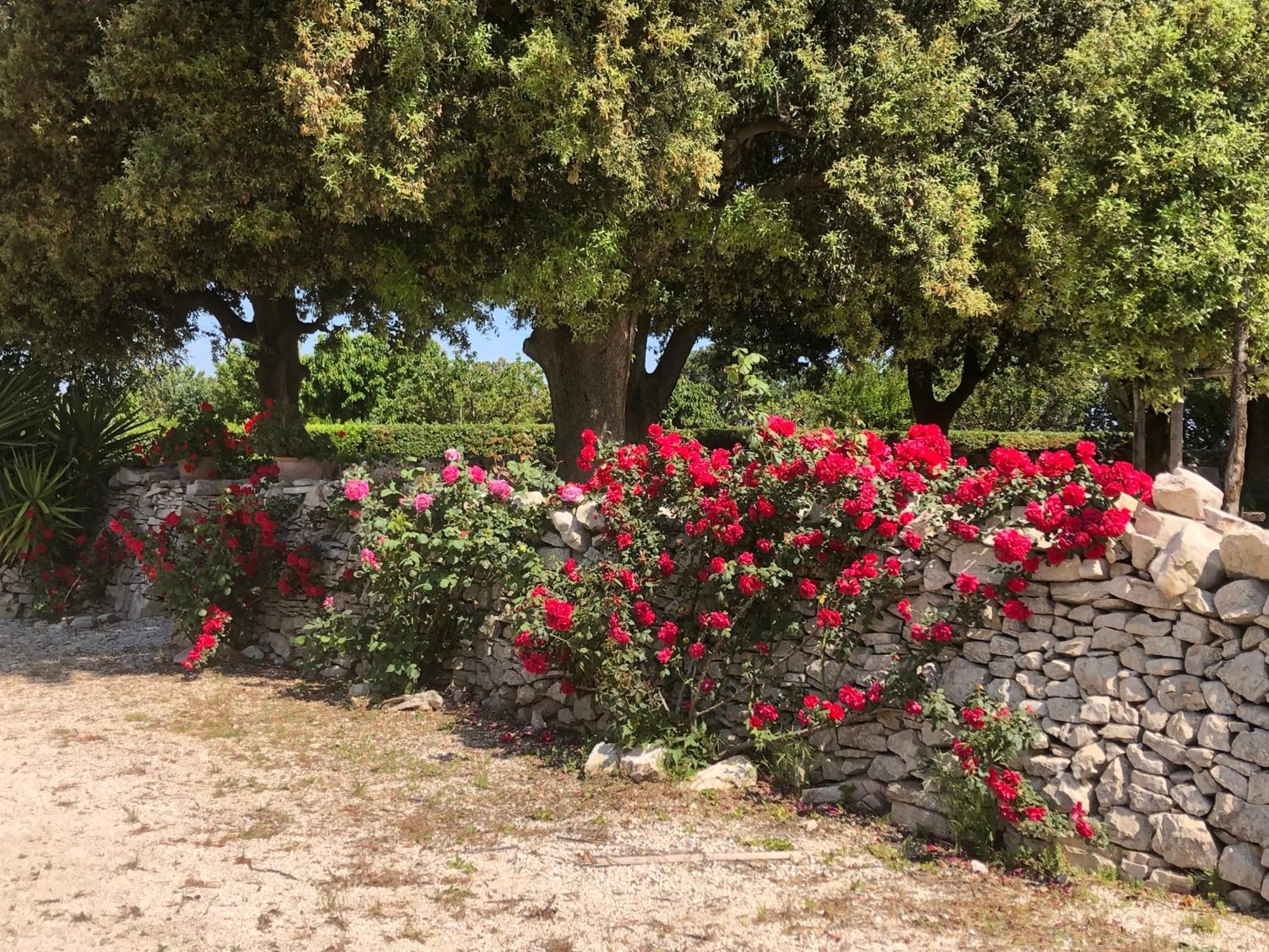 Ai Pilieri di Bagnoli Castel Del Monte (Apulia) Exterior foto