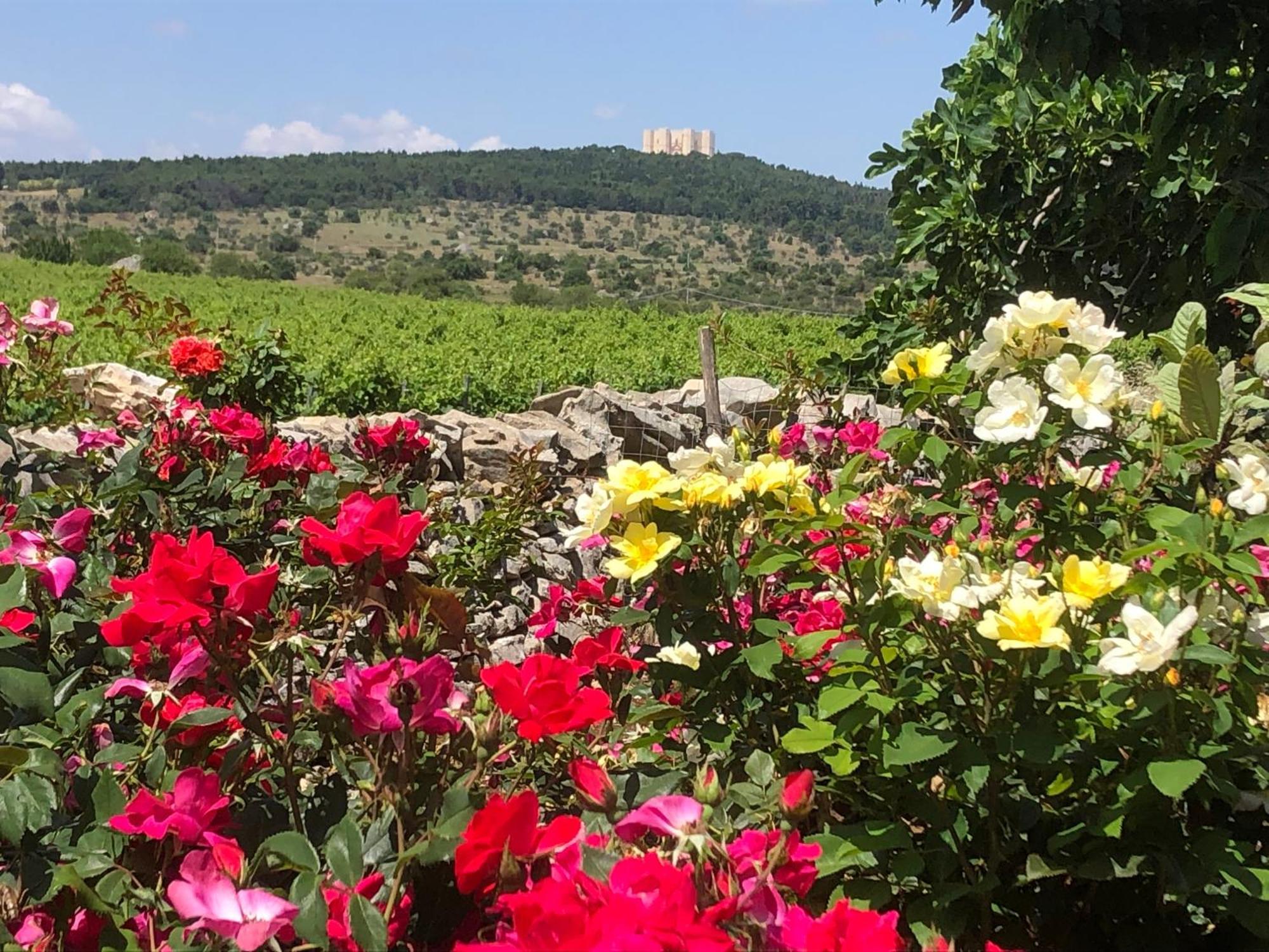 Ai Pilieri di Bagnoli Castel Del Monte (Apulia) Exterior foto